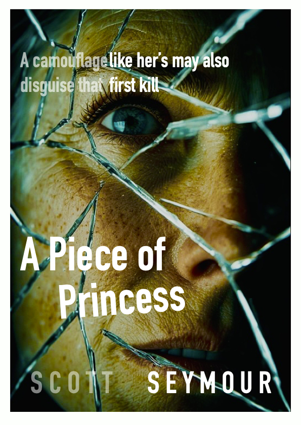A Piece of Princess cover